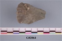 藏品(螃蟹)的圖片